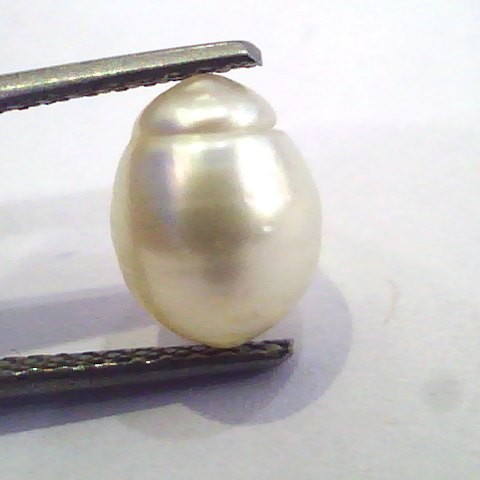 3.94 Ct Certified Natural Venunjula Real Pearl/Real Moti