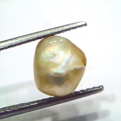 3.95 Ct Certified Natural Venunjula Real Sea Pearl, Real Moti