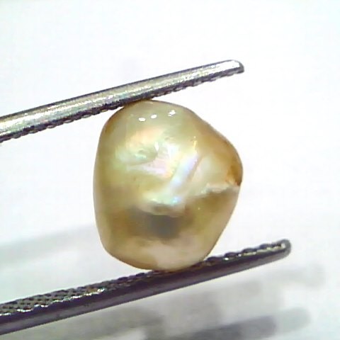 3.95 Ct Certified Natural Venunjula Real Sea Pearl, Real Moti