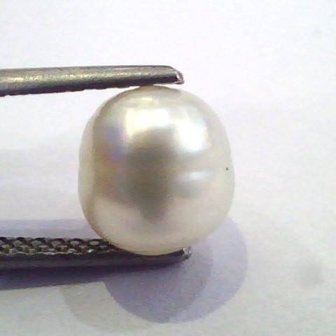 3.95 Ct Certified Natural Venunjula Real Pearl/Real Moti