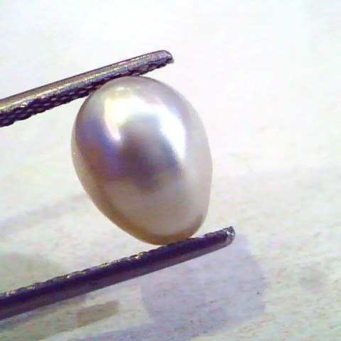 3.96 Ct Certified Natural Venunjula Real Pearl/Real Moti