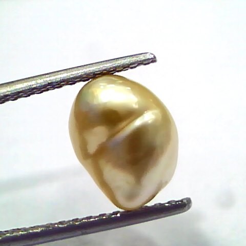3.97 Ct Certified Natural Venunjula Real Sea Pearl, Real Moti