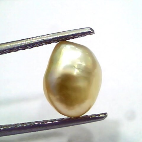 3.97 Ct Certified Natural Venunjula Real Sea Pearl, Real Moti