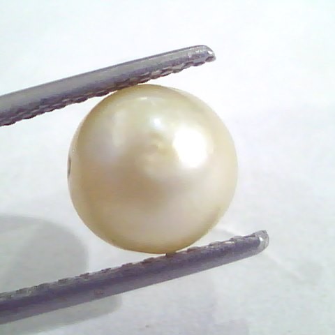 4.86 Ct Natural Certified Real South Sea Pearl,Certified Moti