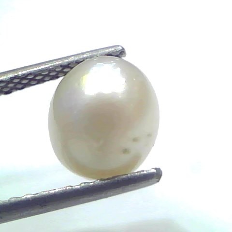 4.20 Ct Natural Certified Real South Sea Pearl Certified Moti
