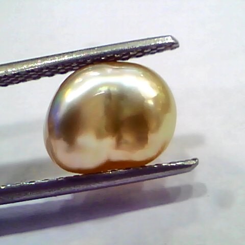 4.05 Ct Certified Natural Venunjula Real Pearl, Real Moti