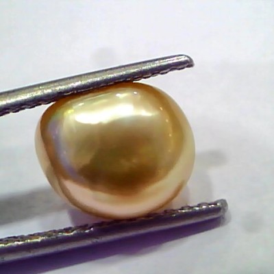 4.05 Ct Certified Natural Venunjula Real Pearl, Real Moti