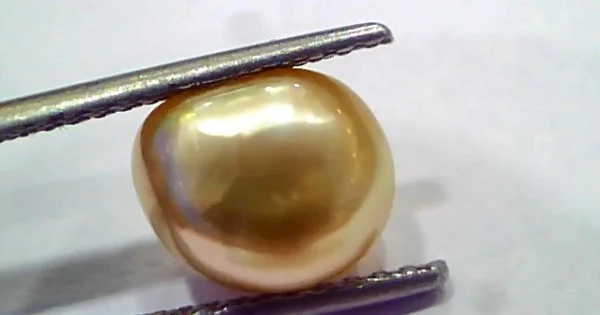 4.05 Ct Certified Natural Venunjula Real Pearl, Real Moti