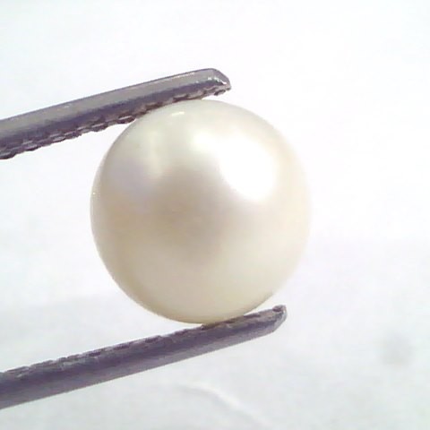 5.46 Ct Natural Certified Real South Sea Pearl,Certified Moti