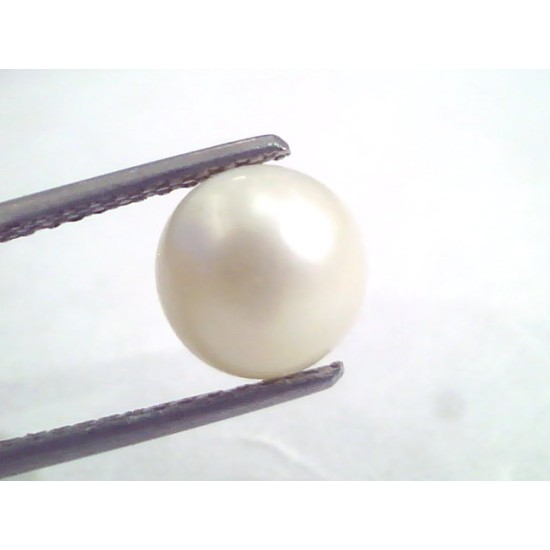 5.46 Ct Natural Certified Real South Sea Pearl,Certified Moti