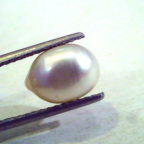 4.18 Ct Certified Natural Venunjula Real Pearl/Real Moti For Moon