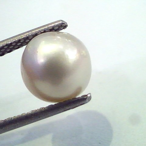 4.88 Carat Natural Certified Real South Sea Pearl,Certified Moti