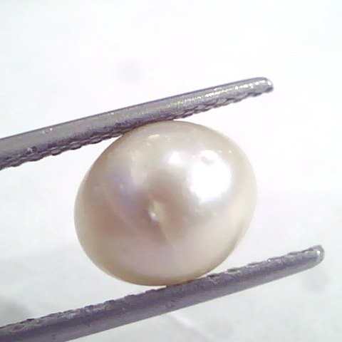 5.71 Ct Natural Certified Real South Sea Pearl,Certified Moti