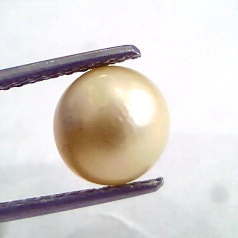 5.50 Ct Natural Certified Real South Sea Pearl,Certified Moti