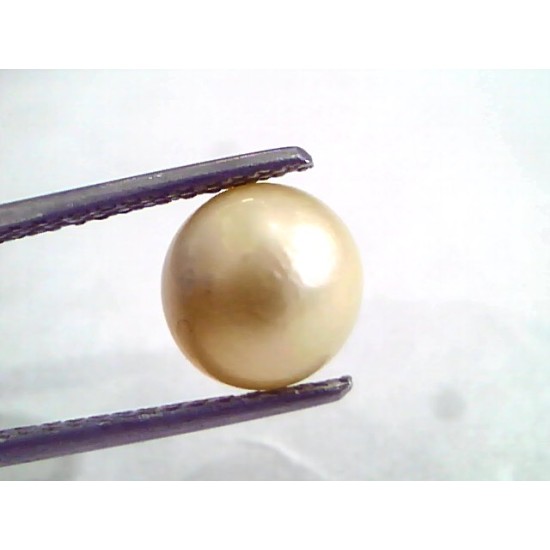 5.50 Ct Natural Certified Real South Sea Pearl,Certified Moti