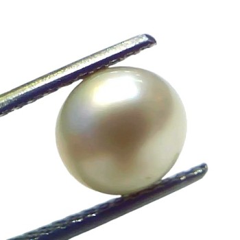 4.26 Ct Natural Certified Real South Sea Pearl Certified Moti 4.26 Ct Natural Certified Real South Sea Pearl Certified Moti