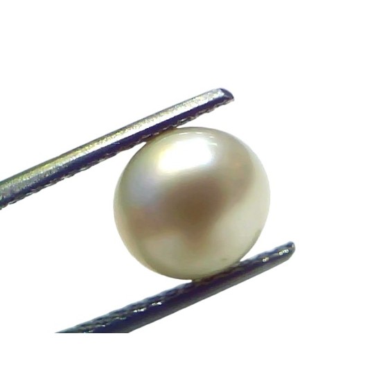 4.26 Ct Natural Certified Real South Sea Pearl Certified Moti