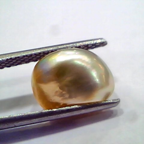 4.30 Ct Certified Natural Venunjula Real Pearl, Real Moti