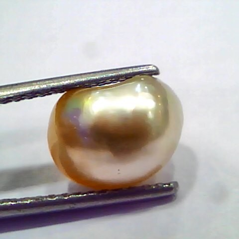 4.30 Ct Certified Natural Venunjula Real Pearl, Real Moti