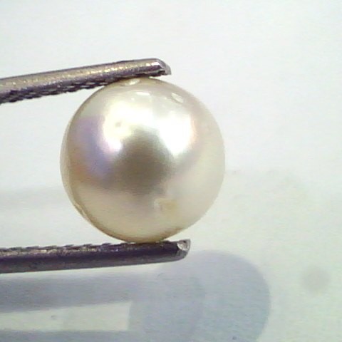4.90 Carat Natural Certified Real South Sea Pearl,Certified Moti