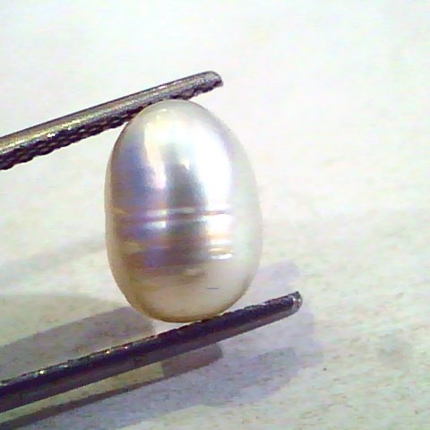 4.37 Ct Certified Natural Venunjula Real Pearl/Real Moti