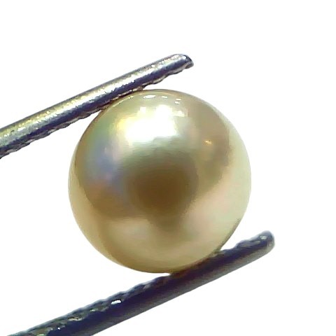 4.35 Ct Natural Certified Real South Sea Pearl Certified Moti