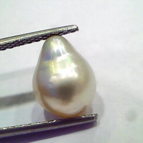 4.45 Ct Certified Natural Venunjula Real Pearl, Real Moti