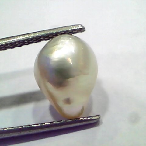 4.45 Ct Certified Natural Venunjula Real Pearl, Real Moti