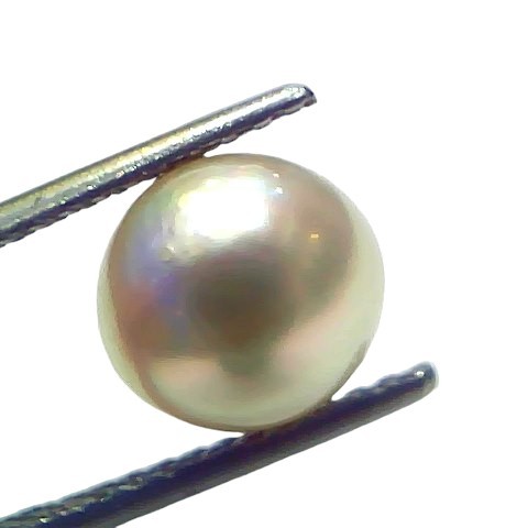 4.61 Ct Natural Certified Real South Sea Pearl Certified Moti 4.61 Ct Natural Certified Real South Sea Pearl Certified Moti