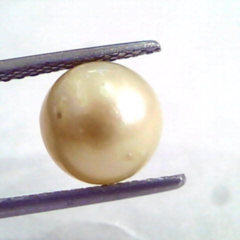 4.69 Ct Natural Certified Real South Sea Pearl,Certified Moti