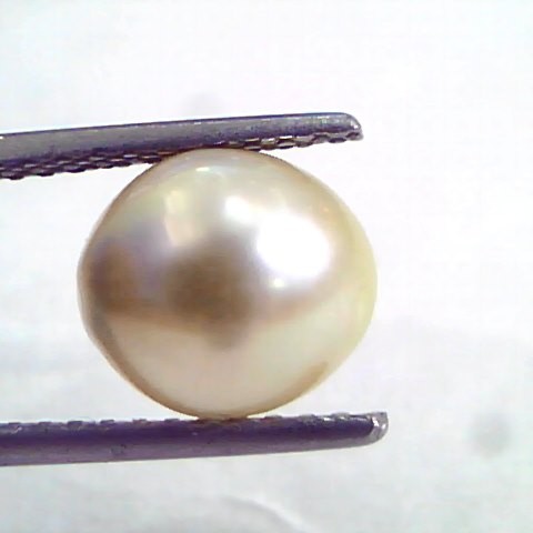 4.68 Ct Natural Certified Real South Sea Pearl,Certified Moti