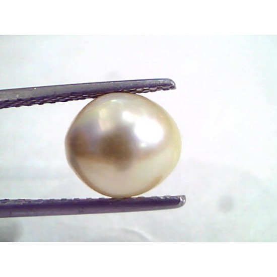 4.68 Ct Natural Certified Real South Sea Pearl,Certified Moti