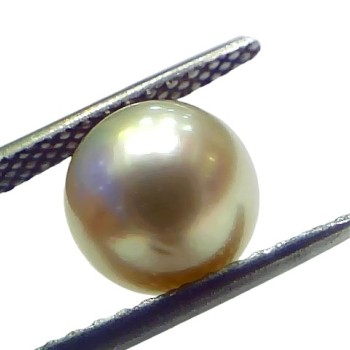 4.80 Ct Natural Certified Real South Sea Pearl Certified Moti 4.80 Ct Natural Certified Real South Sea Pearl Certified Moti