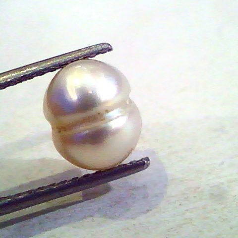 4.82 Ct Certified Natural Venunjula Real Pearl/Real Moti