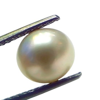 4.86 Ct Natural Certified Real South Sea Pearl Certified Moti 4.86 Ct Natural Certified Real South Sea Pearl Certified Moti