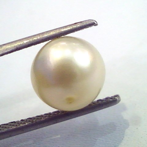 4.88 Carat Natural Certified Real South Sea Pearl,Certified Moti