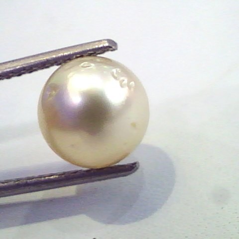 4.92 Carat Natural Certified Real South Sea Pearl,Certified Moti