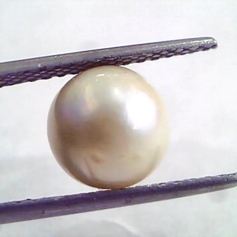 4.95 Ct Natural Certified Real South Sea Pearl,Certified Moti