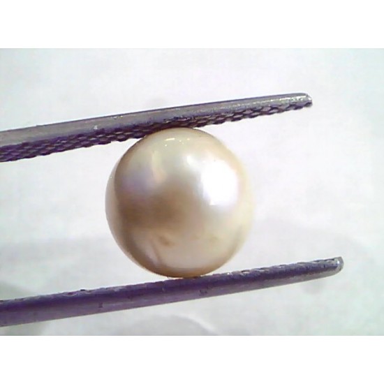 4.95 Ct Natural Certified Real South Sea Pearl,Certified Moti