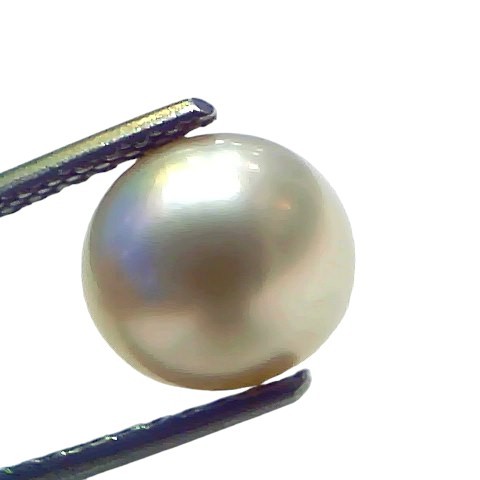 5.00 Ct Natural Certified Real South Sea Pearl Certified Moti 5.00 Ct Natural Certified Real South Sea Pearl Certified Moti
