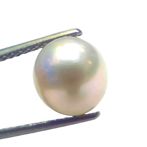 5.06 Ct Natural Certified Real South Sea Pearl Certified Moti 5.06 Ct Natural Certified Real South Sea Pearl Certified Moti