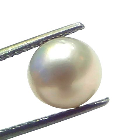 5.11 Ct Natural Certified Real South Sea Pearl Certified Moti 5.11 Ct Natural Certified Real South Sea Pearl Certified Moti
