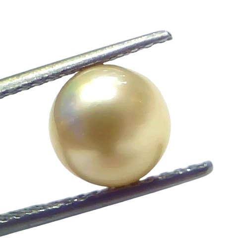 5.14 Ct Natural Certified Real South Sea Pearl Certified Moti 5.14 Ct Natural Certified Real South Sea Pearl Certified Moti