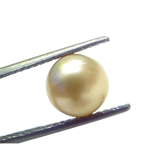 5.14 Ct Natural Certified Real South Sea Pearl Certified Moti