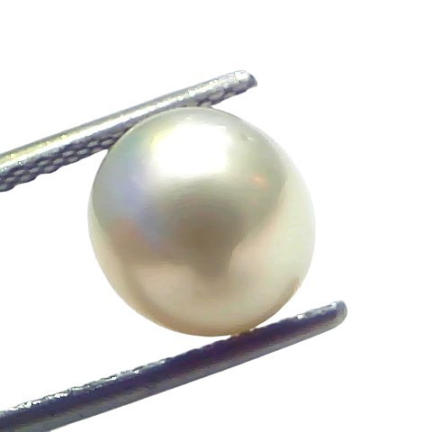 5.32 Ct Natural Certified Real South Sea Pearl Certified Moti 5.32 Ct Natural Certified Real South Sea Pearl Certified Moti