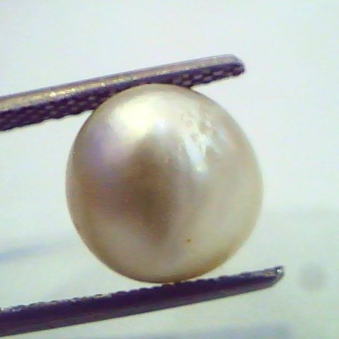 5.33 Ct Natural Basra Pearl,Real Moti Certified *RARE*