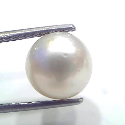 5.52 Ct Natural Certified Real South Sea Pearl Certified Moti