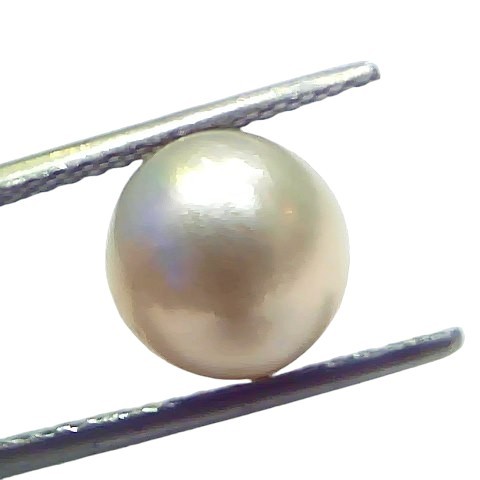 5.44 Ct Natural Certified Real South Sea Pearl Certified Moti 5.44 Ct Natural Certified Real South Sea Pearl Certified Moti