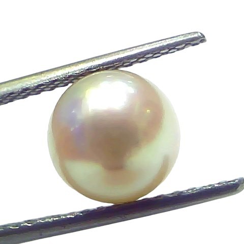 5.46 Ct Natural Certified Real South Sea Pearl Certified Moti 5.46 Ct Natural Certified Real South Sea Pearl Certified Moti