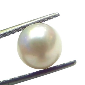 5.48 Ct Natural Certified Real South Sea Pearl Certified Moti 5.48 Ct Natural Certified Real South Sea Pearl Certified Moti